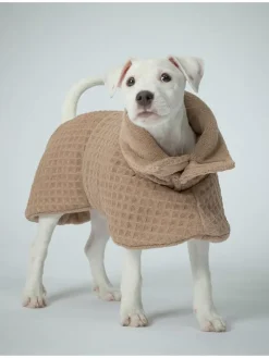 Hunde-Trockenmantel in Beige