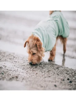 Hunde-Trockenmantel in Hellgrün