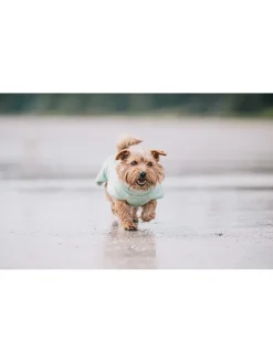 Hunde-Trockenmantel in Hellgrün