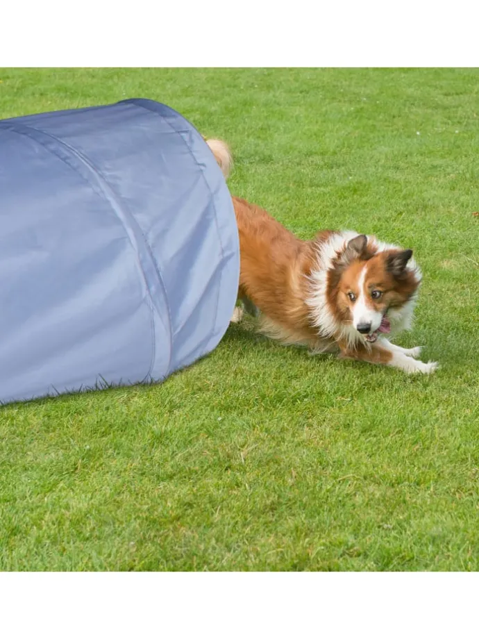 Hundetunnel in Grau - (B)200 x Ø 40 cm