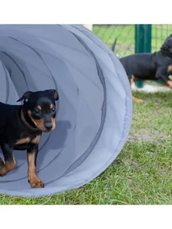 Hundetunnel in Grau - (B)200 x Ø 40 cm