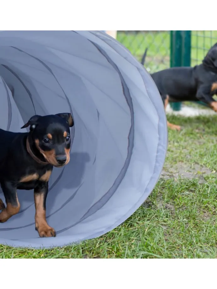 Hundetunnel in Grau - (B)200 x Ø 40 cm