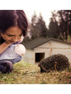 Igelhaus in Braun - (B)46 x (H)24 x (T)33,5 cm