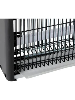 Insektenvernichter in Schwarz