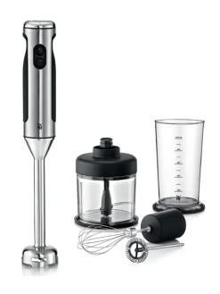 4in1-Stabmixer "Lineo" in Silber/ Schwarz