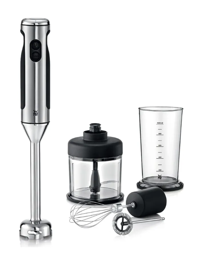 4in1-Stabmixer "Lineo" in Silber/ Schwarz