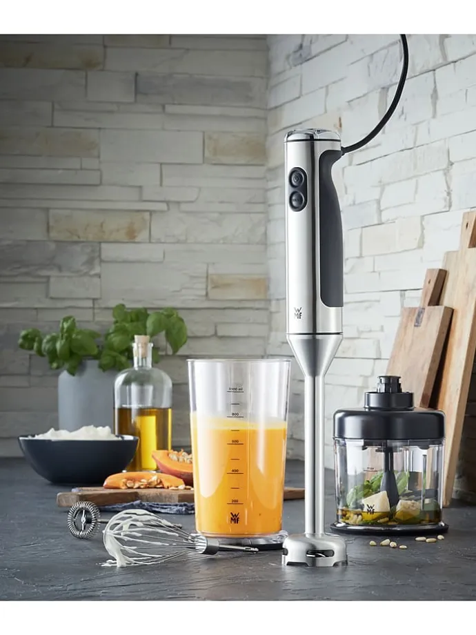 4in1-Stabmixer "Lineo" in Silber/ Schwarz