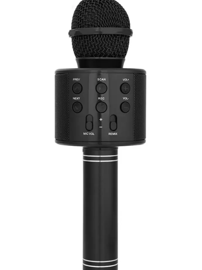 Karaoke-Mikrofon in Schwarz - ab 3 Jahren