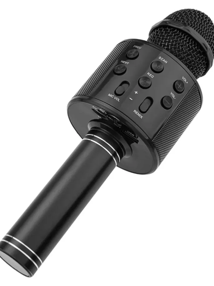 Karaoke-Mikrofon in Schwarz - ab 3 Jahren