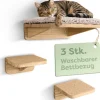 Katzen Kletterwand Set mit Katzenbett & 2X Katzentreppe - Kiefernholz