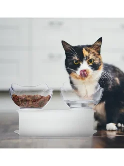 Katzen-Doppelnapf in Weiß/ Transparent - (B)27,5 x (H)16 x (T)13,5 cm