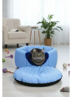 Katzenhöhle ''Bcps1000'' in Blau