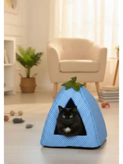 Katzenhöhle ''Bcps1001'' in Blau
