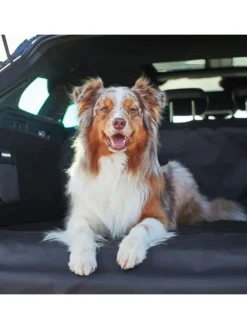 Kofferraumschutz für Hund inkl. Seiten- & Ladekantenschutz dunkelgrau