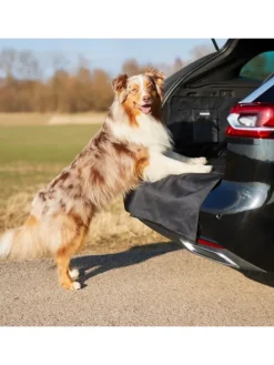 Kofferraumschutz für Hund inkl. Seiten- & Ladekantenschutz dunkelgrau