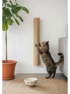 Kratzstamm ''Malta'' in Hellbraun - (L)53 cm in Beige - (L)53 cm