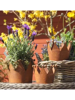 Krone Zink Rost Ø17 im 3er Set in Braun