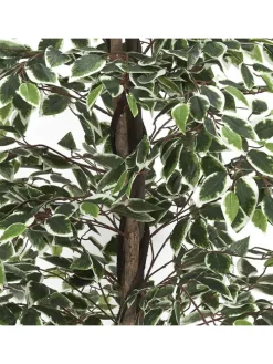 Kunstpflanze in Grün - (B)80 x (H)170 cm