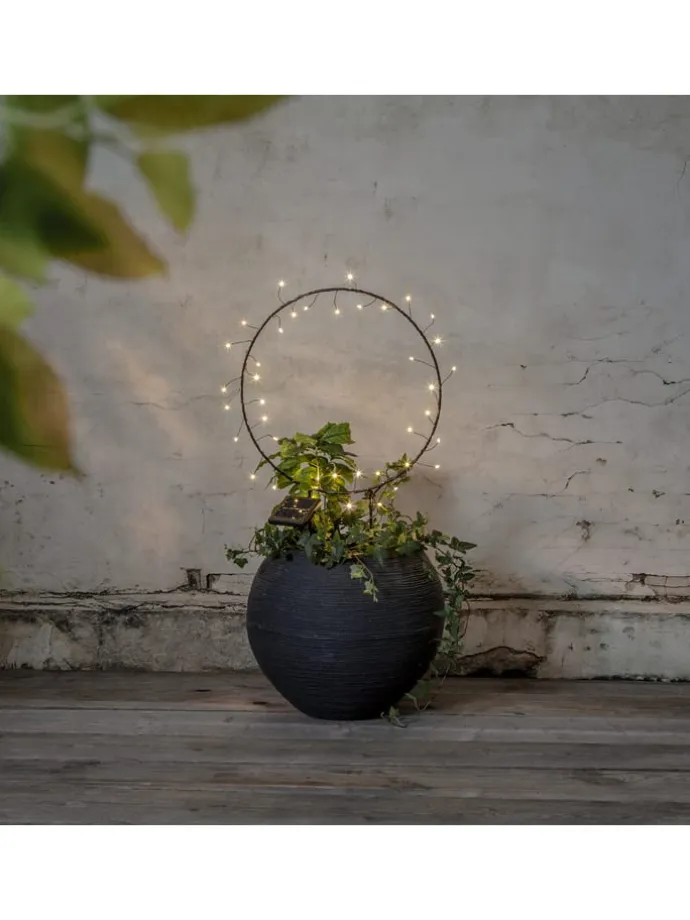 LED-Solar-Dekoration "Barlumi" in Schwarz - (H)60 cm