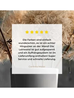 Leinwand bilder Löwenzahn (BxH)