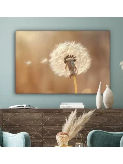 Leinwand bilder Nahaufnahme Flaum (BxH)