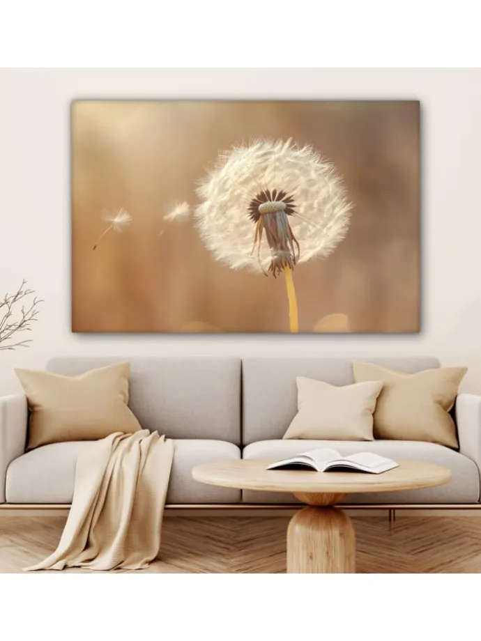 Leinwand bilder Nahaufnahme Flaum (BxH)