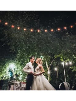 Lichterkette Rosen in Rosa - (L)3,3 m