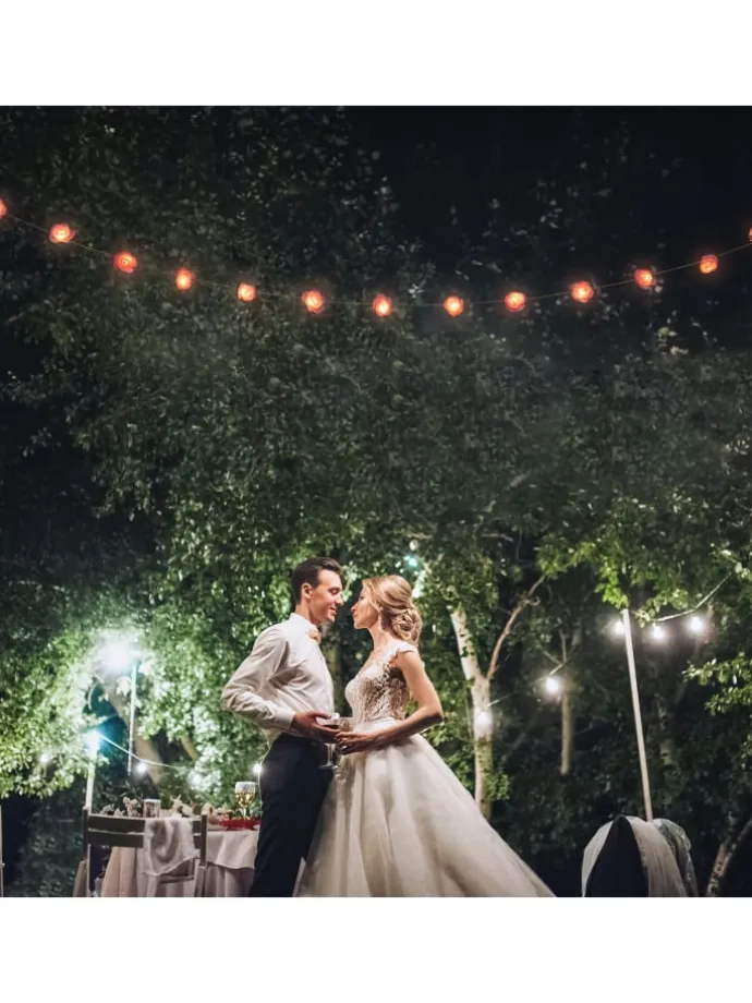 Lichterkette Rosen in Rosa - (L)3,3 m