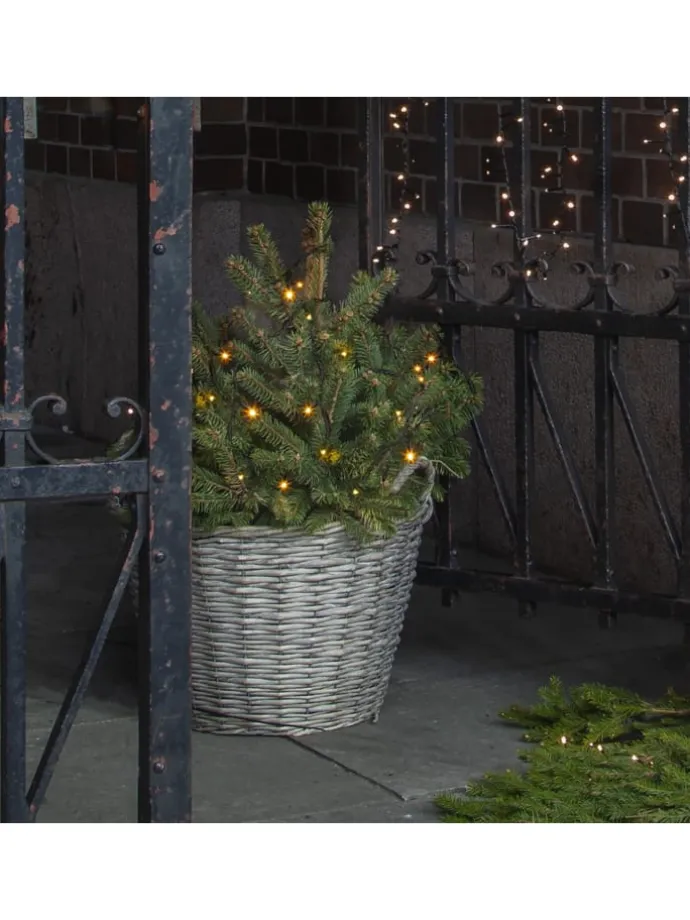 Lichterkette ,START', System 24, 49 LEDs, mit Trafo, warmweiß, 5m, 1W