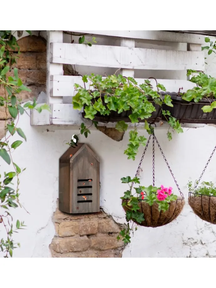 Marienkäferhaus in Braun