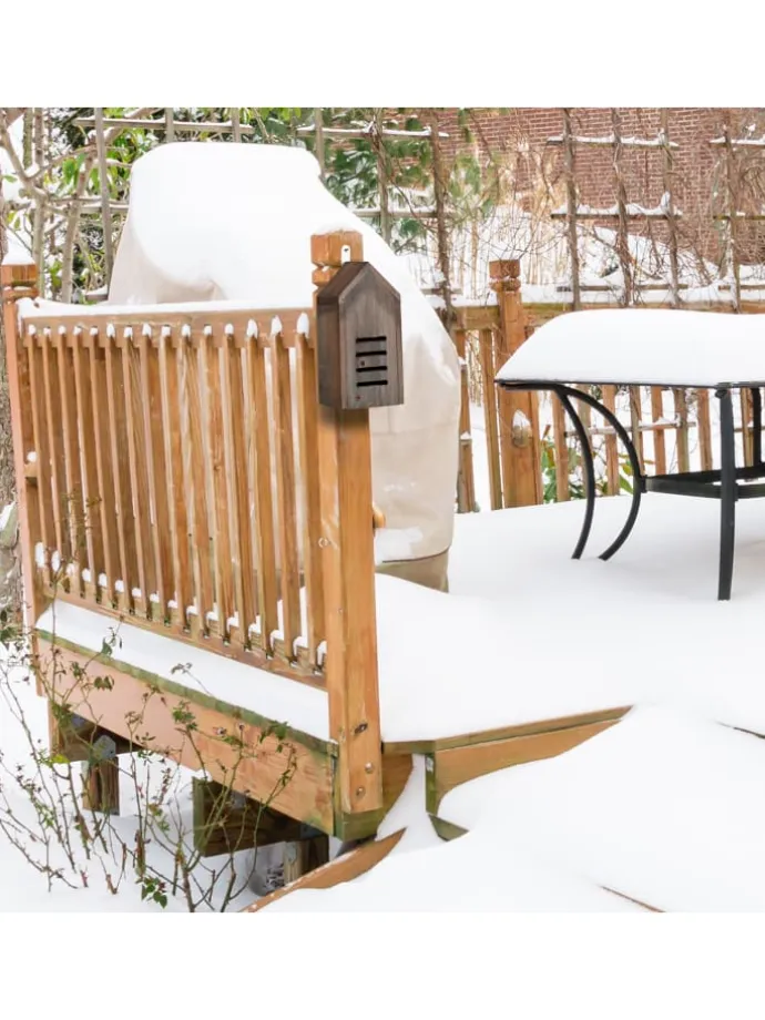 Marienkäferhaus in Braun