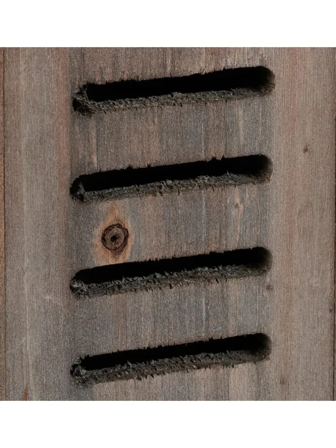 Marienkäferhaus in Braun