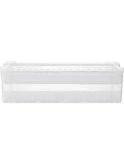 Marinadenbox in Transparent - (B)37 x (H)10 cm