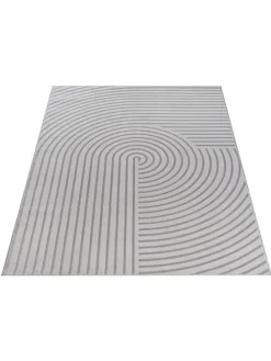 Moderner Teppich Soft-Touch Flor C in Grau