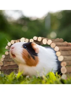 Nagerbrücke in Natur - (B)40 x (T)65 cm