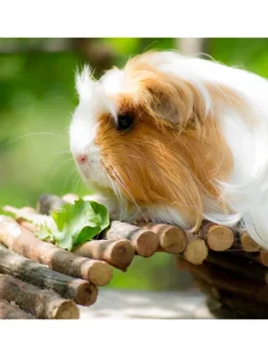 Nagerbrücke in Natur - (B)40 x (T)65 cm