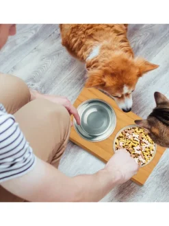 Napfstation in Natur