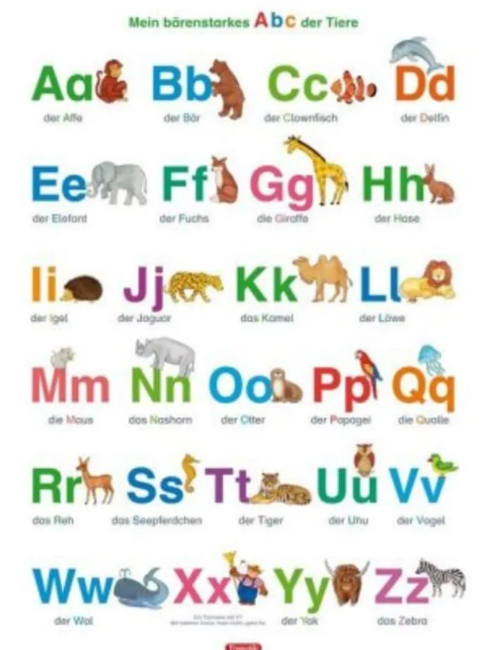 Nonbook - Fragenbär-Lernposter: Mein bärenstarkes Abc der Tiere (in d