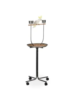 Papageien Freisitz in Silber