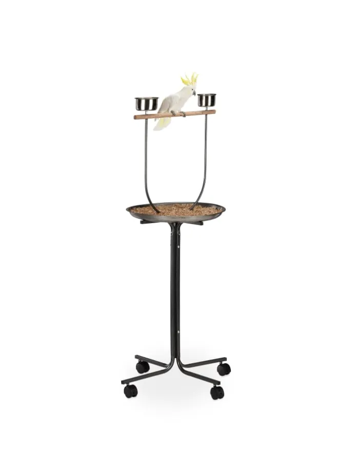 Papageien Freisitz in Silber