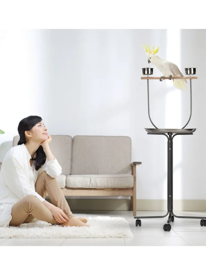 Papageien Freisitz in Silber