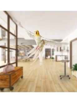 Papageien Freisitz in Silber