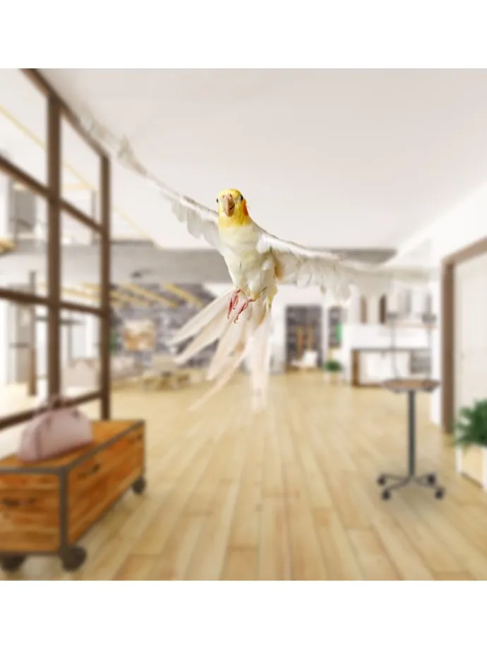 Papageien Freisitz in Silber