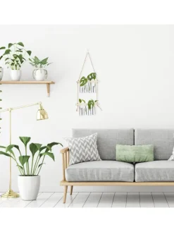 Pflanzen Vermehrungsstation in Natur/ Transparent - Mit 3 Ebenen