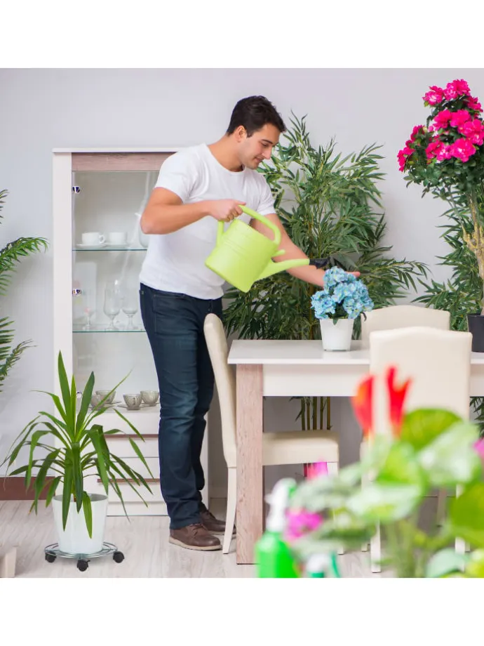 Pflanzenroller in Silber - (H)6 x Ø 32 cm