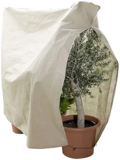 Pflanzenschutz in Beige - (B)240 x (H)200 cm