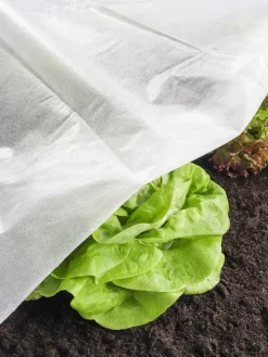 Pflanzenschutzvlies in Weiß - (L)500 x (B)150 cm