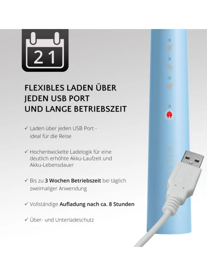 PRO SMILE Schallzahnbürste USB in Laguna