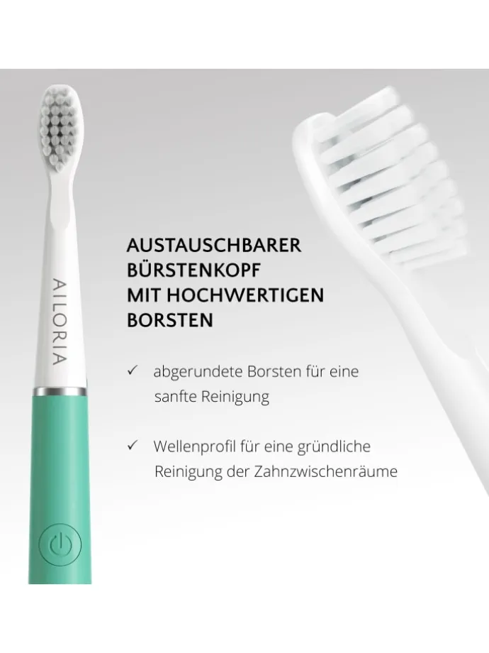 PRO SMILE Schallzahnbürste USB in Mint