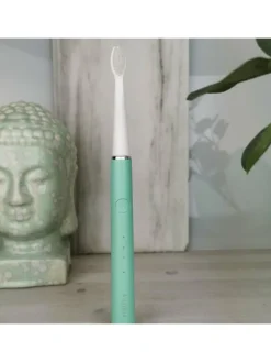 PRO SMILE Schallzahnbürste USB in Mint